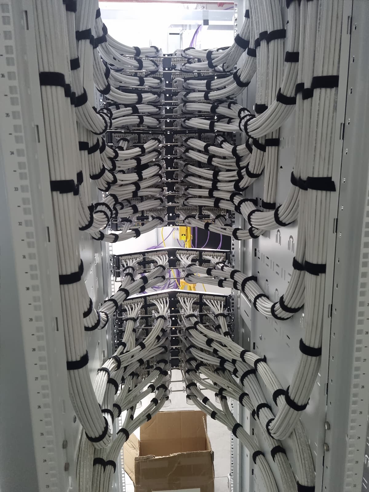 Dressed Cat6 cable bundles in a comms cabinet